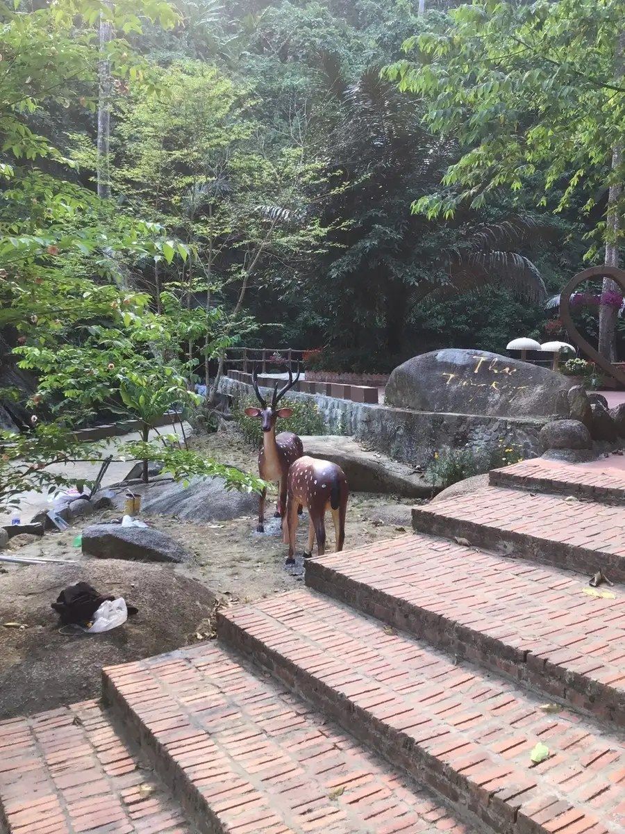 Tượng hươu nai xi măng bố trí tại tiểu cảnh resort với đá và cây hoa