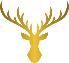 Logo Bình An